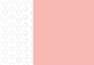 Pink Lime Studios Standard Background Image