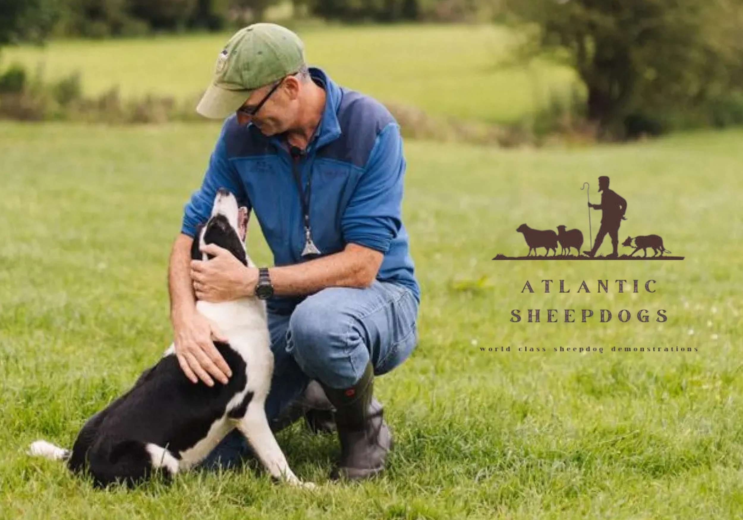 Atlantic Sheepdogs Tours, Sligo